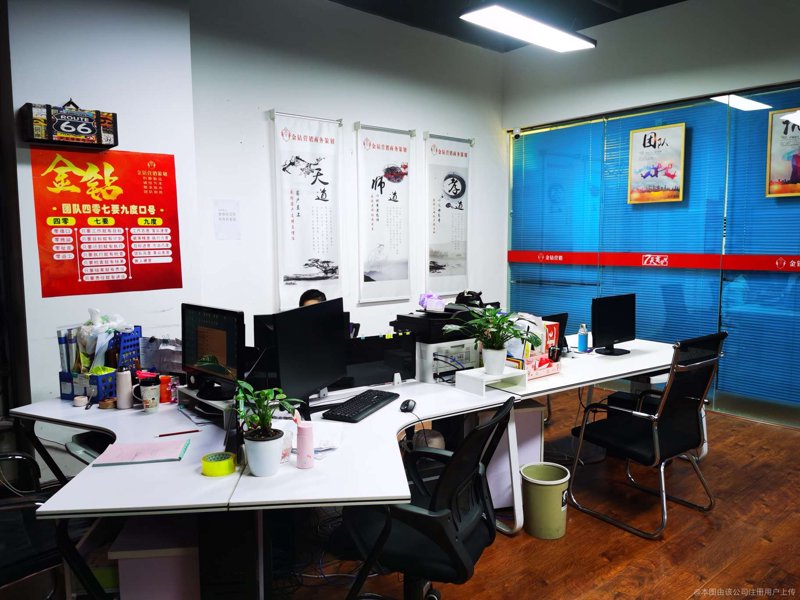 项目可行性研究选购指南：助您成功上马